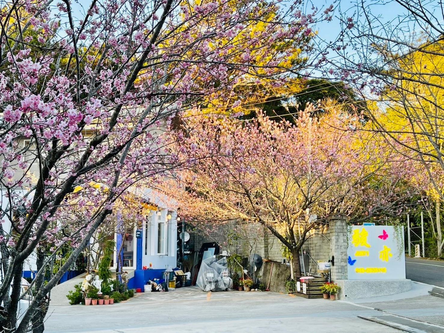 Junyi Landscape Villa ريناي المظهر الخارجي الصورة